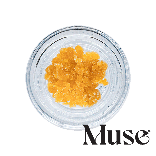 Image of Blue Dream - Live Suga 1G