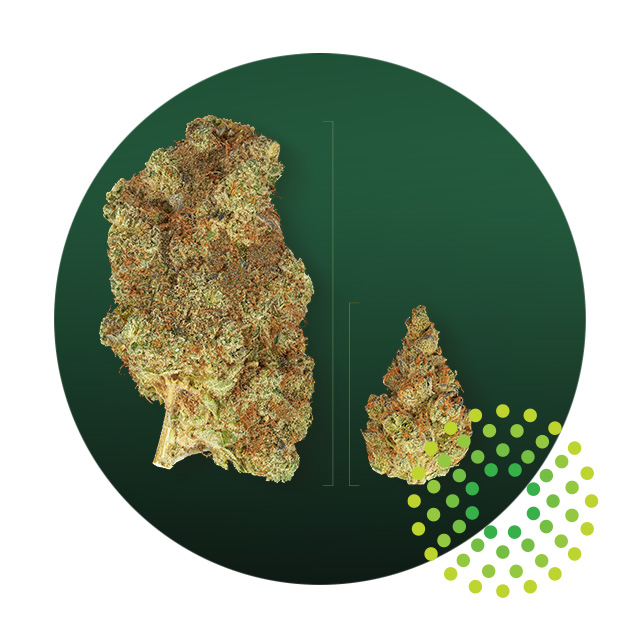 Solomon Grundy - Flower Primo 3.5G