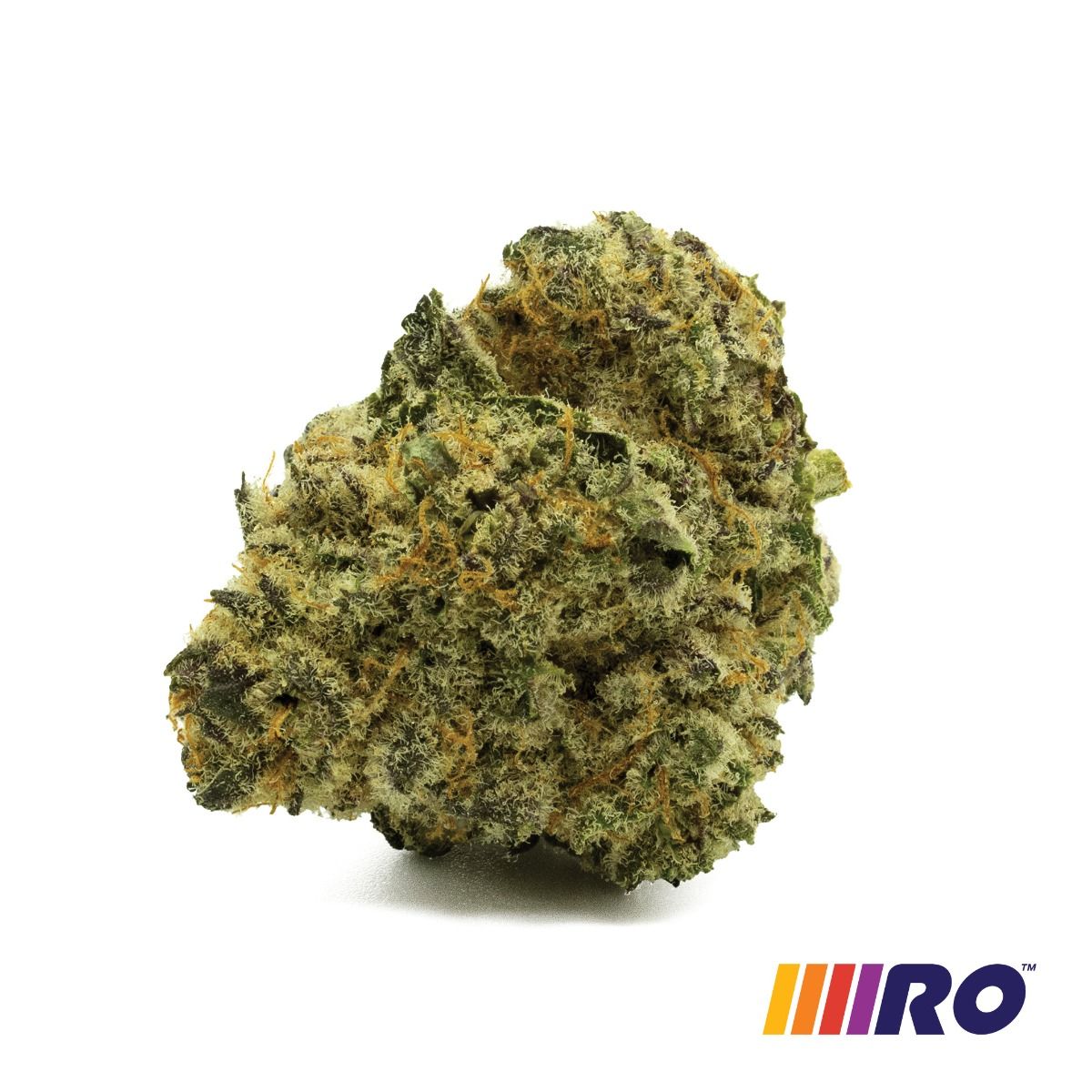 Image of Better Biscuits Flower