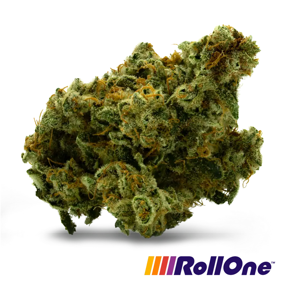 Shop RO-FLOWER-3.5G-SUPERLEMONHAZE-S-FL Online | Trulieve