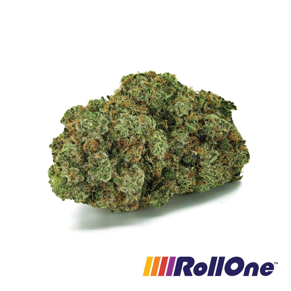 Image of Jet Juice Flower