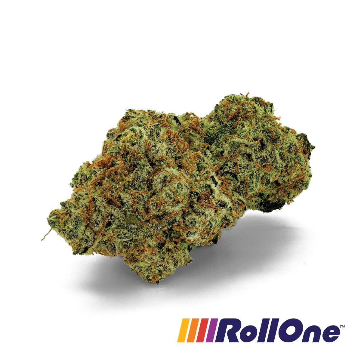 Image of Midnight Snack Flower