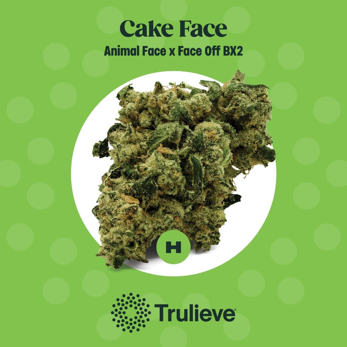 Image of Cake Face Flower