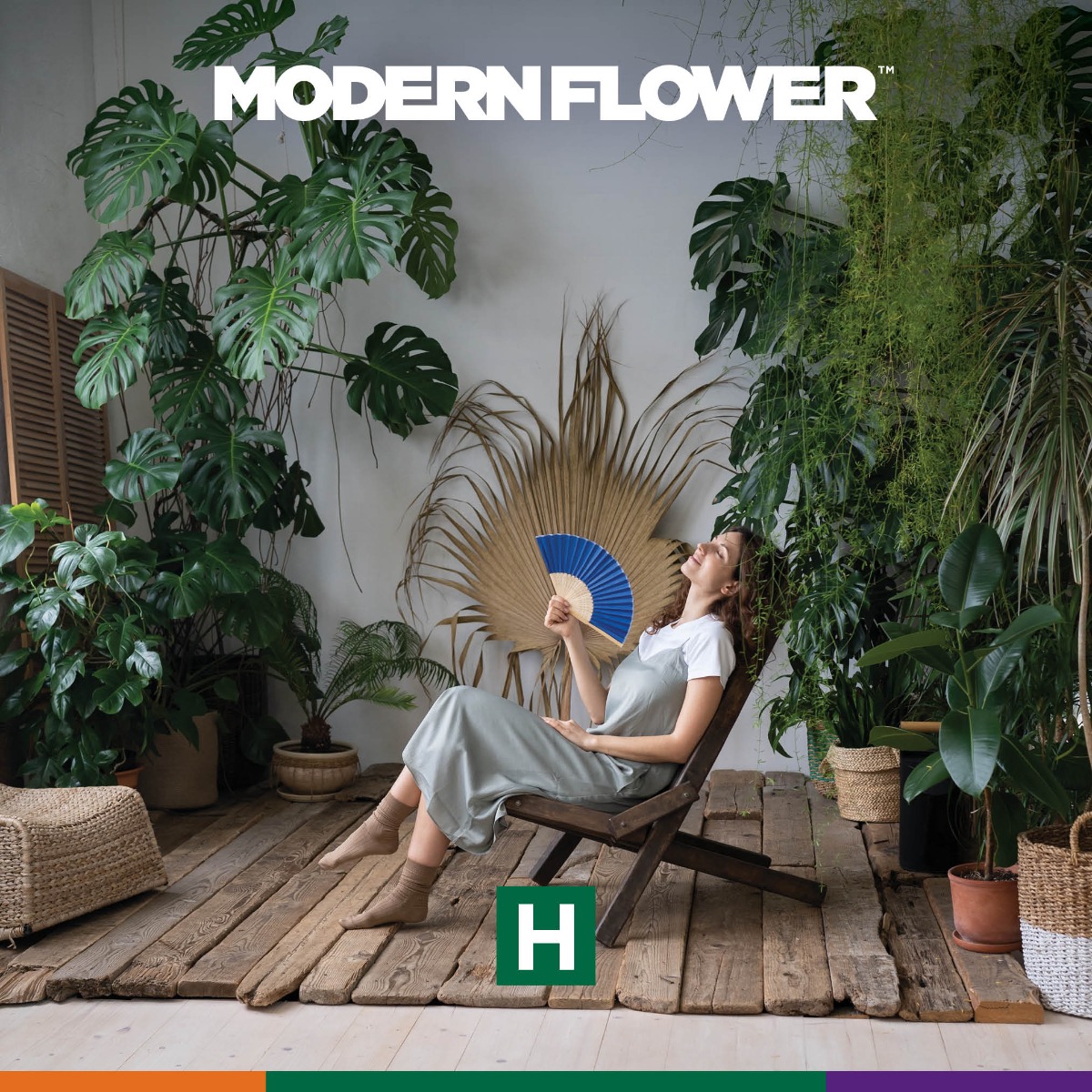 Shop MF-Flower-14g-i79-H-WV Online | Trulieve