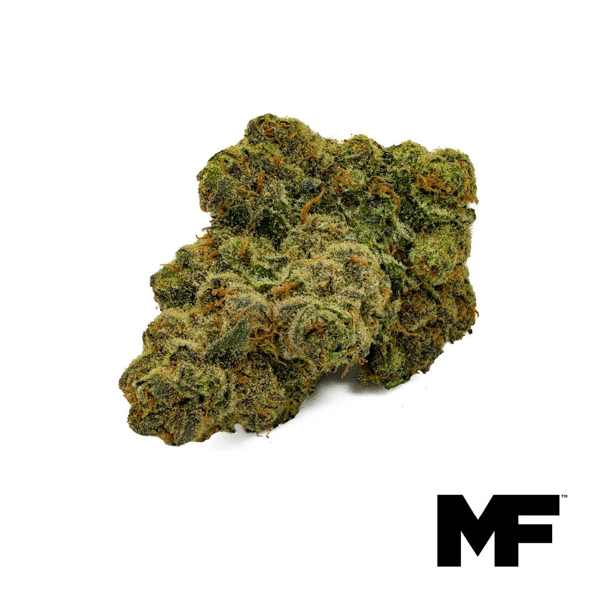 Mountain Trop Flower