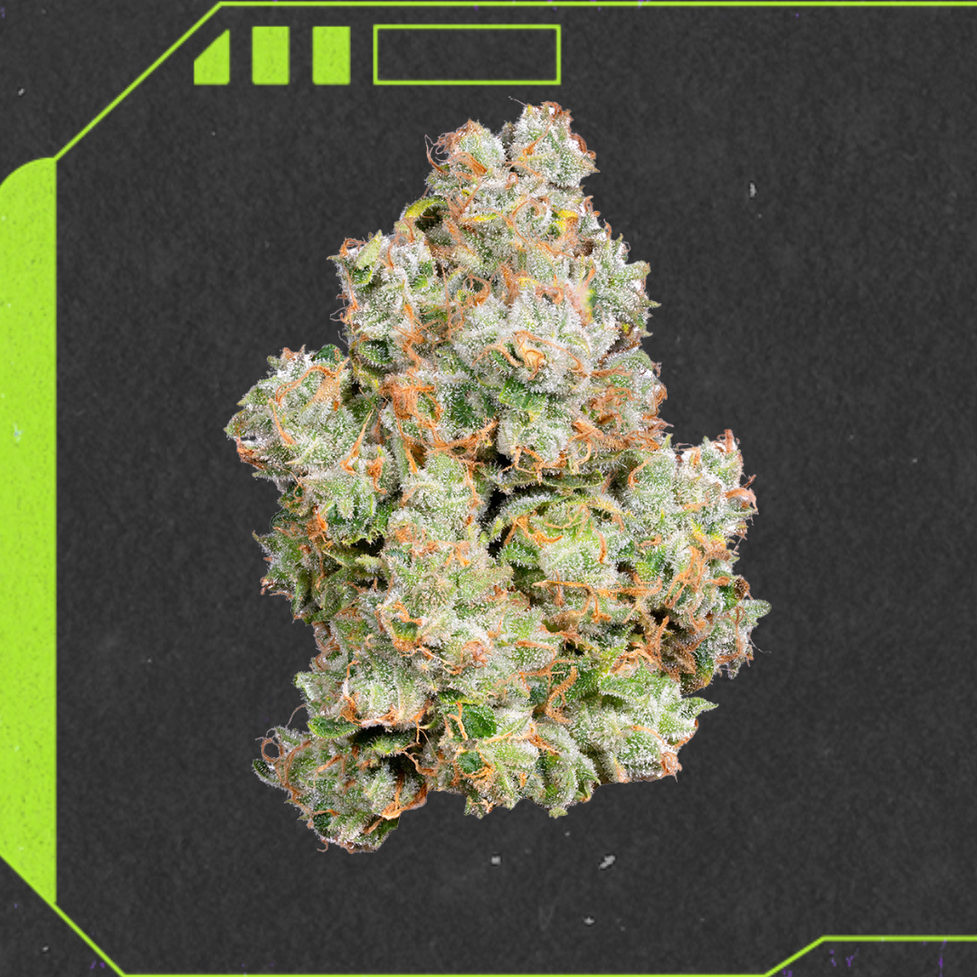 Shop AL-Flower-3.5g-XJ13-H-FL Online | Trulieve