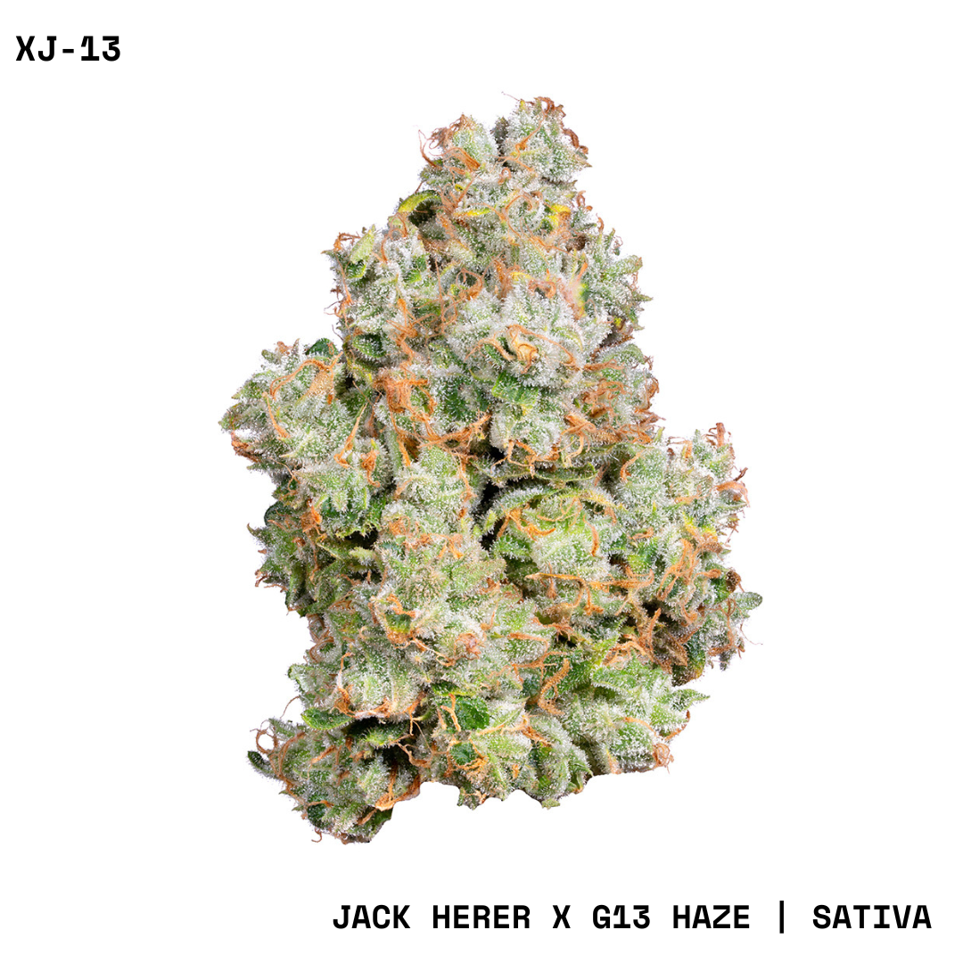 イチゴクラゲ13 Lemon Cherry Gelato (1g) - Classic Cuts - Claybourne Co.