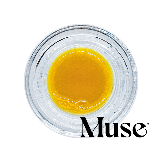 Gelato Ice Cream Live Budder 1G