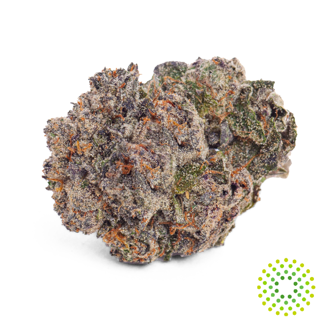 Gelato Ice Cream 17 Whole Flower 3.5G