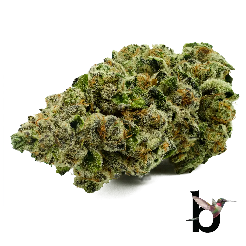 Octane Mint Sherbet - Whole Flower 3.5G