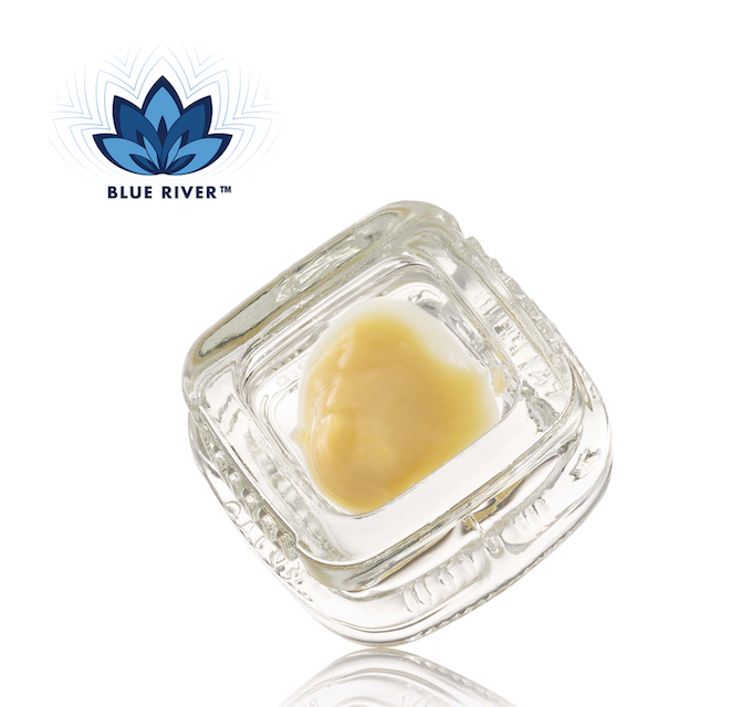 Iron Lion Live Rosin 1G