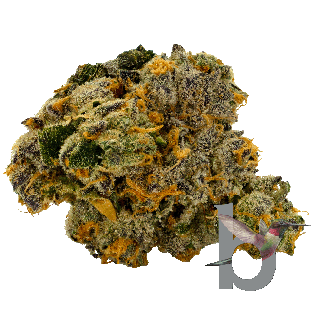 The 41 - Whole Flower 3.5G