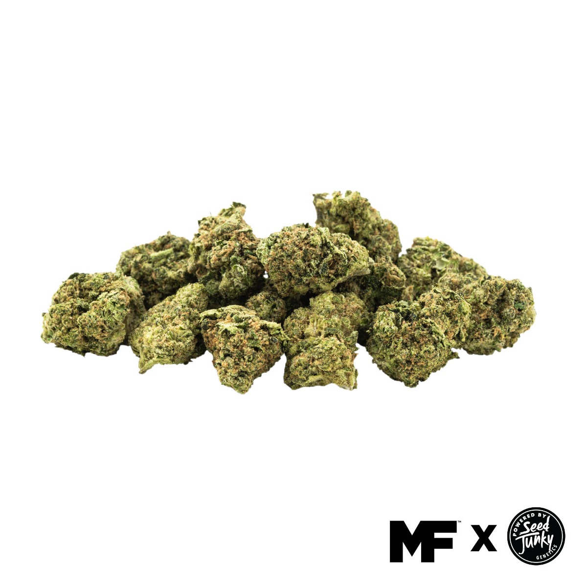 fl-mfxsj-ecomm-minis-wild-